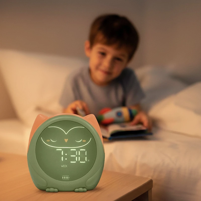 Owlie The Magical Sleep Trainer