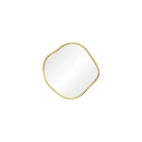 Nucleus Mirror