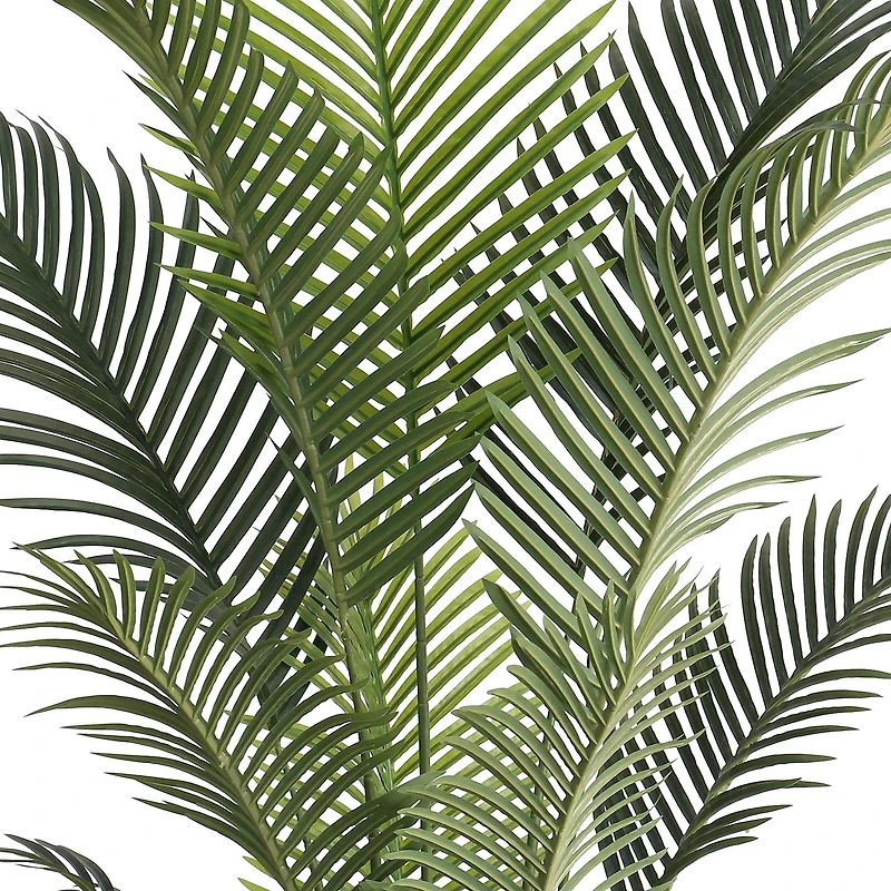 Grand Oasis Palm Tree
