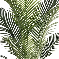Grand Oasis Palm Tree