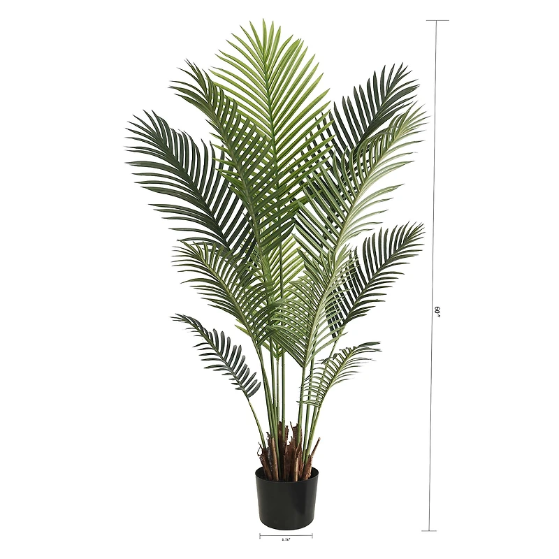 Grand Oasis Palmier