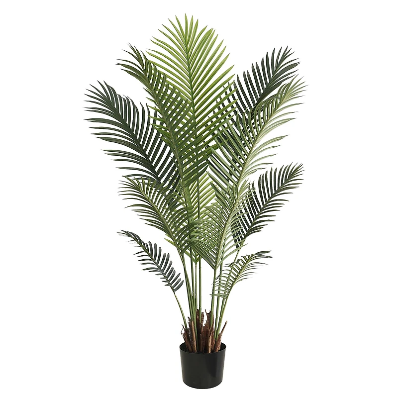 Grand Oasis Palm Tree