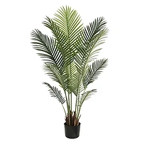 Grand Oasis Palm Tree
