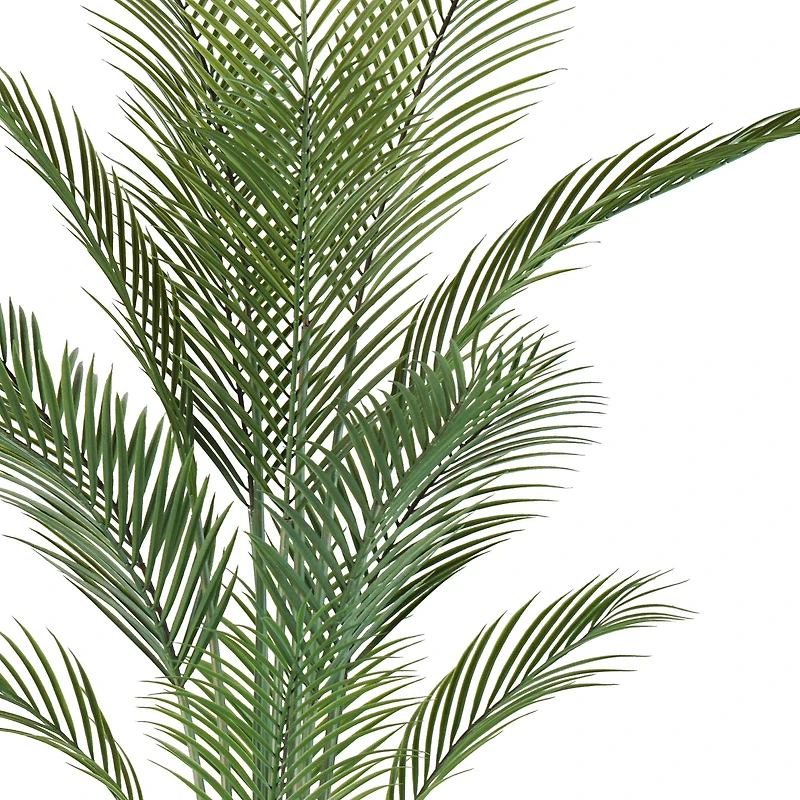 Oasis Palm Tree