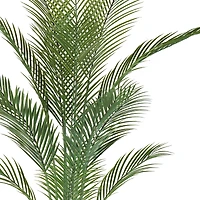 Oasis Palm Tree