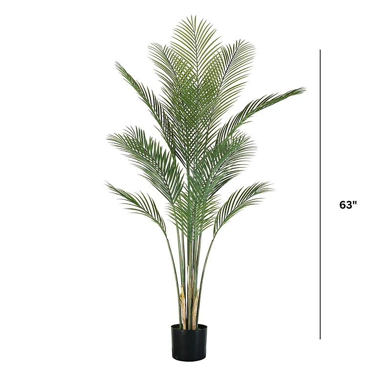 Oasis Palm Tree