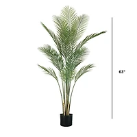 Oasis Palm Tree