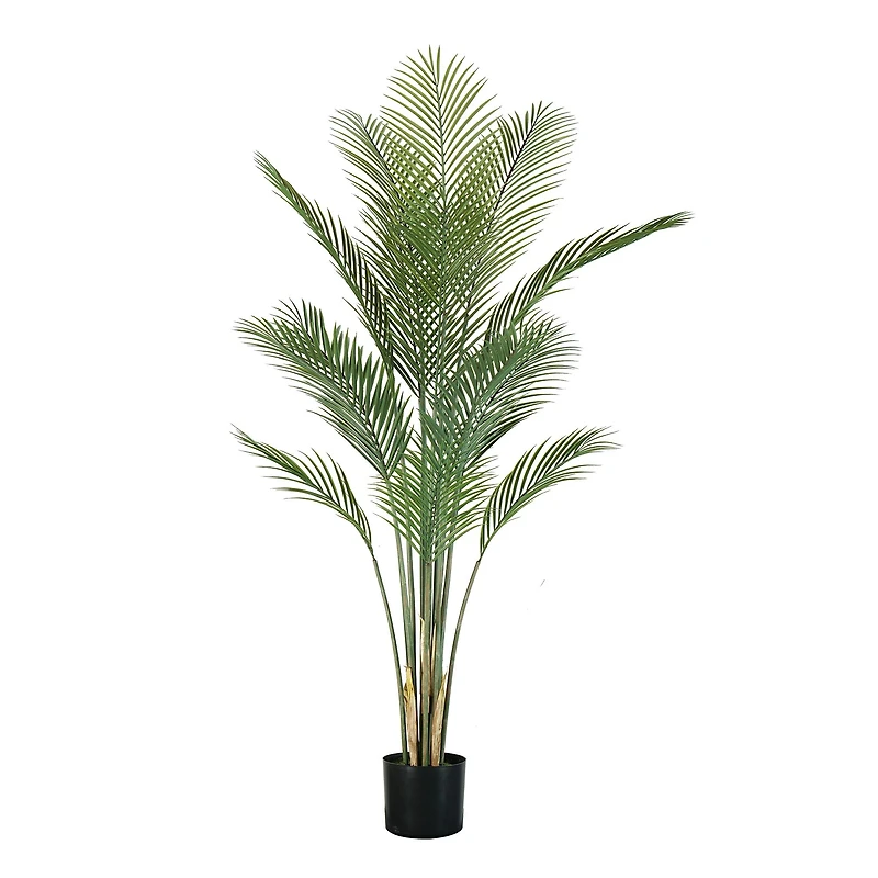 Oasis Palm Tree