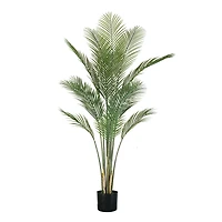 Oasis Palm Tree