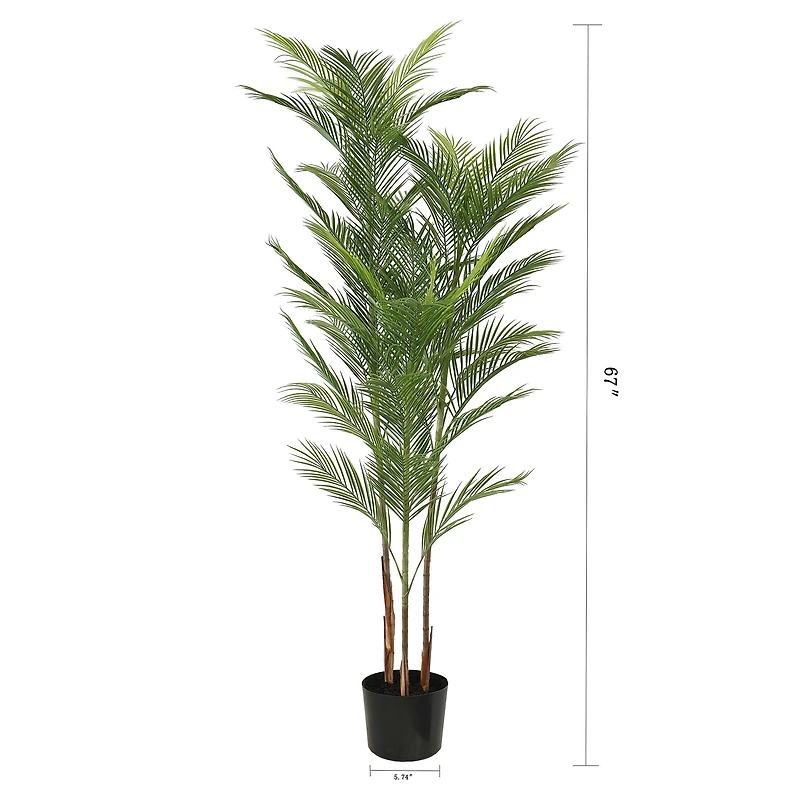 Cali Palm Tree