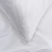 Set of 2 100% Silk Pillowcases by Smartsilk