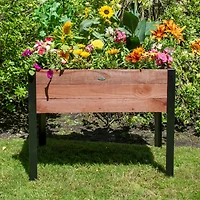 Wide Wood Raised Rectangle Planter