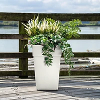 Grapevine Plus Ollie Recycled Plastic Planters - Cream, Set of 2