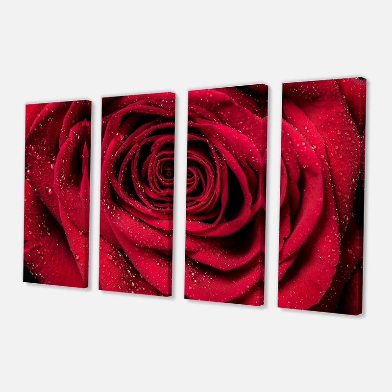 Red Rose Petals with Rain Droplets Canvas Art Print