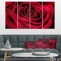 Red Rose Petals with Rain Droplets Canvas Art Print