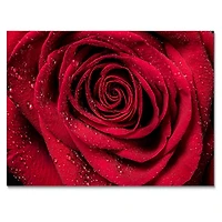 Red Rose Petals with Rain Droplets Canvas Art Print