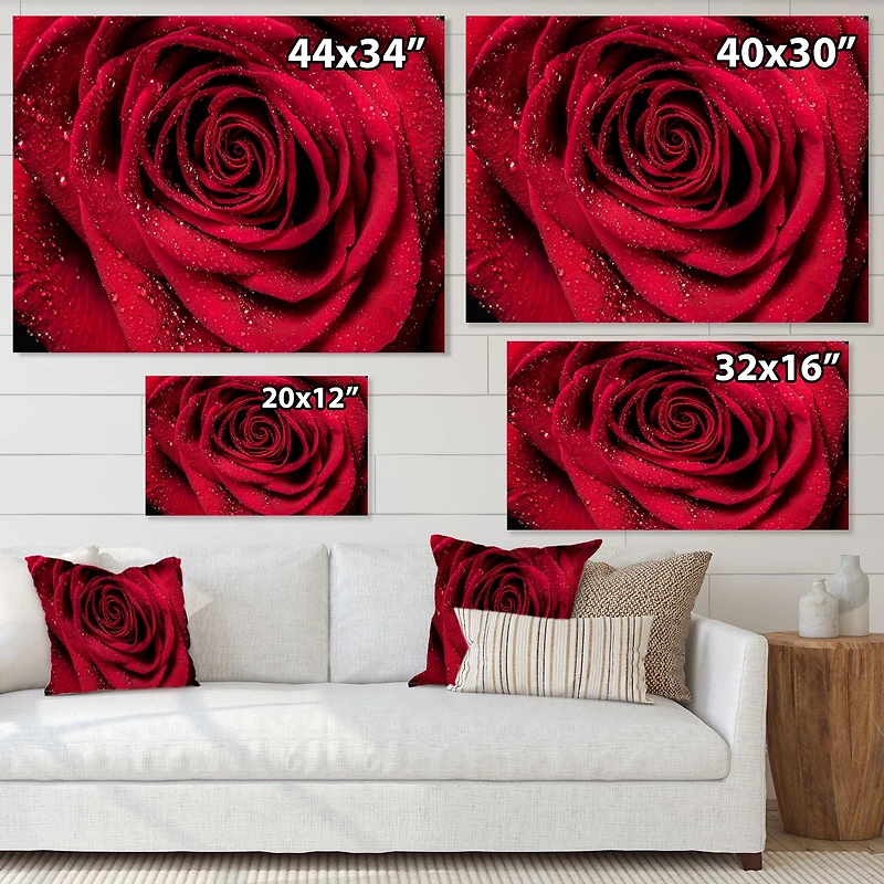 Red Rose Petals with Rain Droplets Canvas Art Print