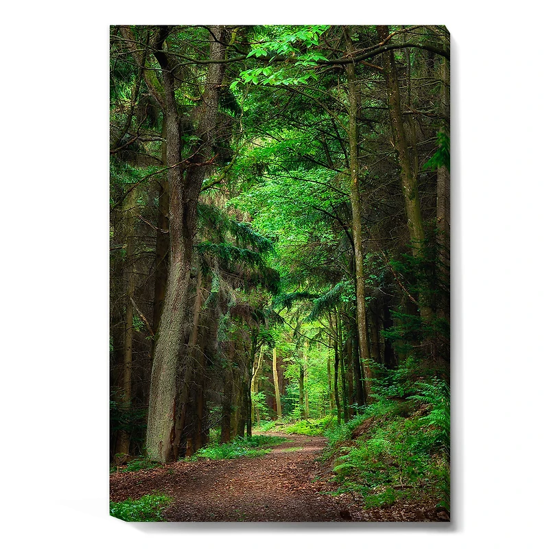Dreamy Greenery Dense Forest  Wall Art Canvas