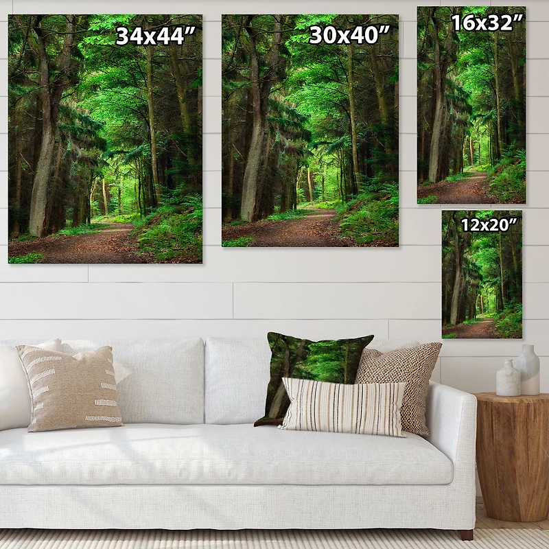 Dreamy Greenery Dense Forest  Wall Art Canvas