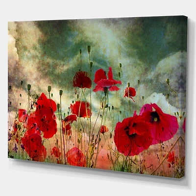 Wild Red Poppy Flowers Sky  Canvas Art Print