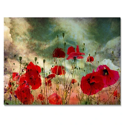 Wild Red Poppy Flowers Sky  Canvas Art Print