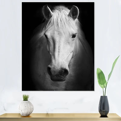 Toile « White Horse Black and »
