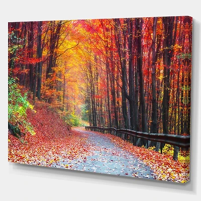 Road Beautiful Autumn Forest  Canvas Art