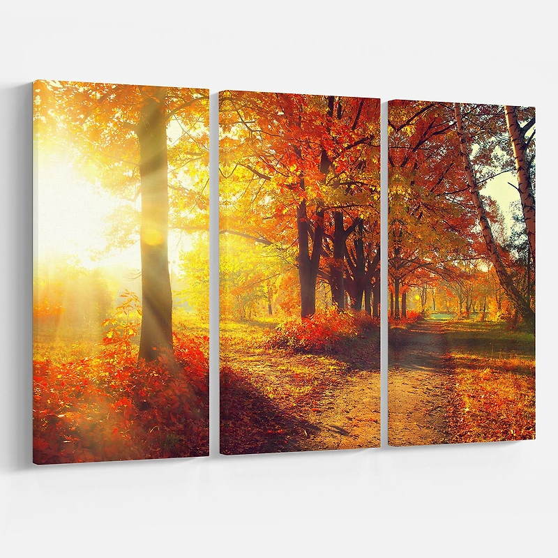 Autumnal Trees in Sunrays Canvas Wall Art - 3 Panels