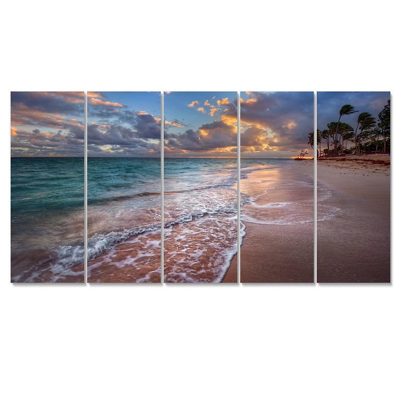 Palm Trees on Clear Sandy