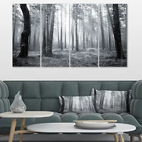 Black and White Foggy Forest Canvas Wall Art