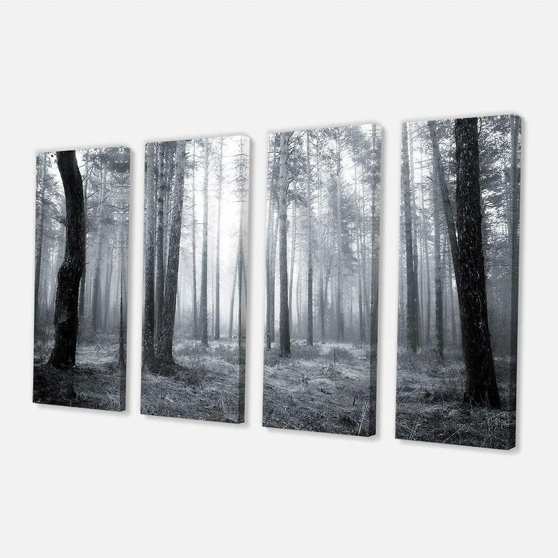 Black and White Foggy Forest Canvas Wall Art