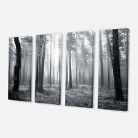 Black and White Foggy Forest Canvas Wall Art
