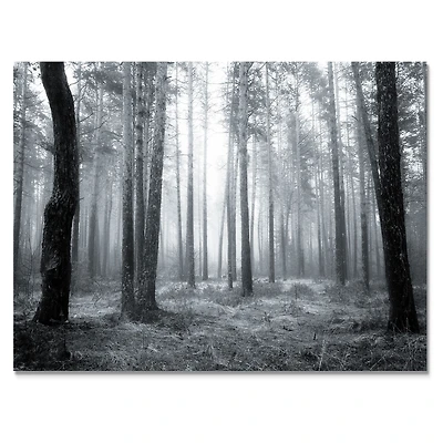 Toile « Black and White Foggy Forest »