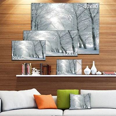 Winter Road Backlit my Morning Sun  Wall Art