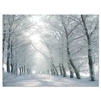 Winter Road Backlit my Morning Sun  Wall Art