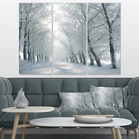 Winter Road Backlit my Morning Sun Canvas Wall Art Panels