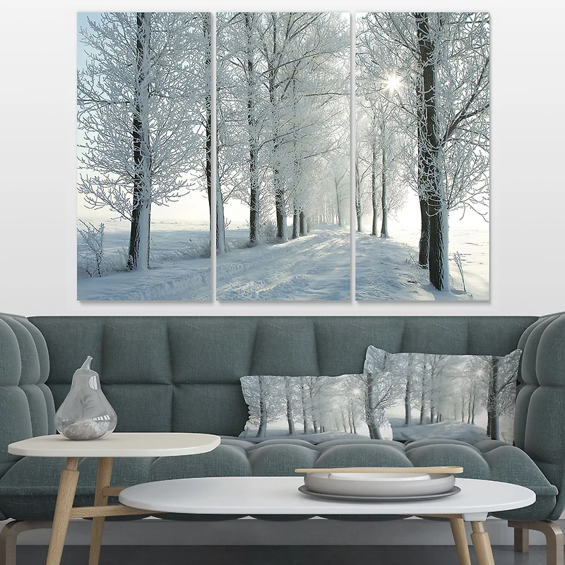 Winter Trees Backlit by Morning Sun  Canvas Wall Art