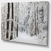 Dense Winter Forest and Lane  Wall Art