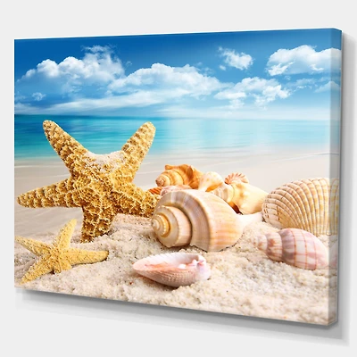 Starfish and Seashells on Beach Canvas Wall Art Print