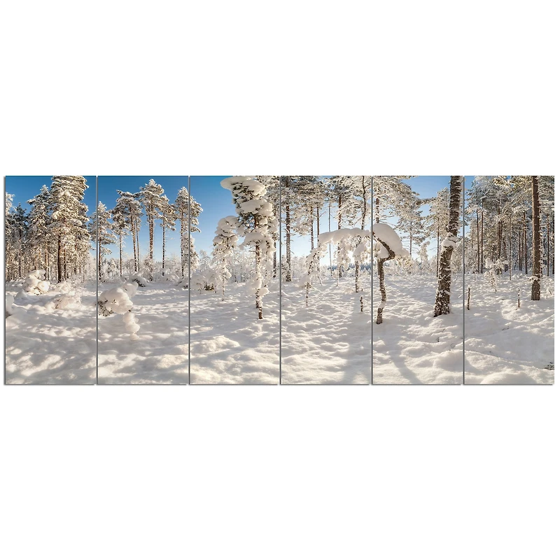 Winter Snow Covered Wood  Wall Art