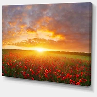 Poppy Field under Bright Sunset  Wall Art