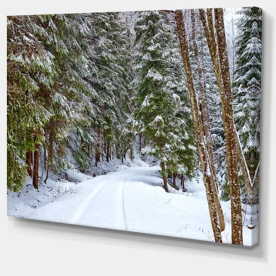 Snowy Road the Forest Wall Art