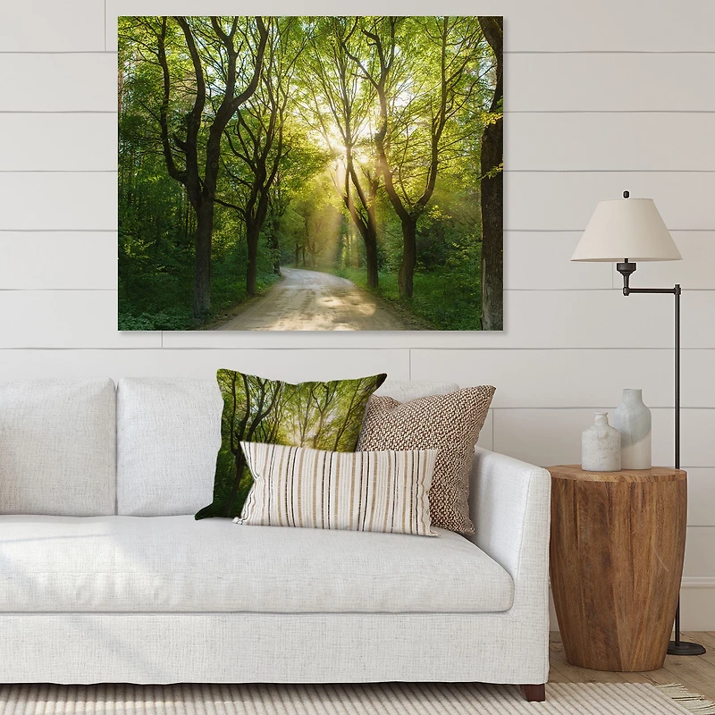 Evening Green Forest  Canvas Art Print