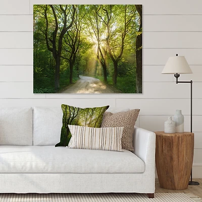 Toile  imprimée « Evening Green Forest »