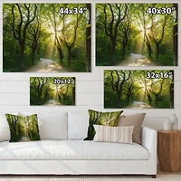 Evening Green Forest  Canvas Art Print