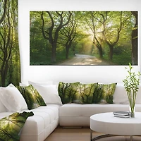 Evening Green Forest  Canvas Art Print