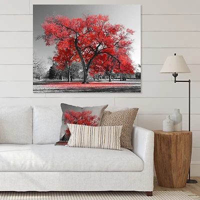 Big Red Tree on Foggy Day  Canvas Art Print