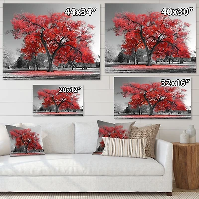 Big Red Tree on Foggy Day  Canvas Art Print