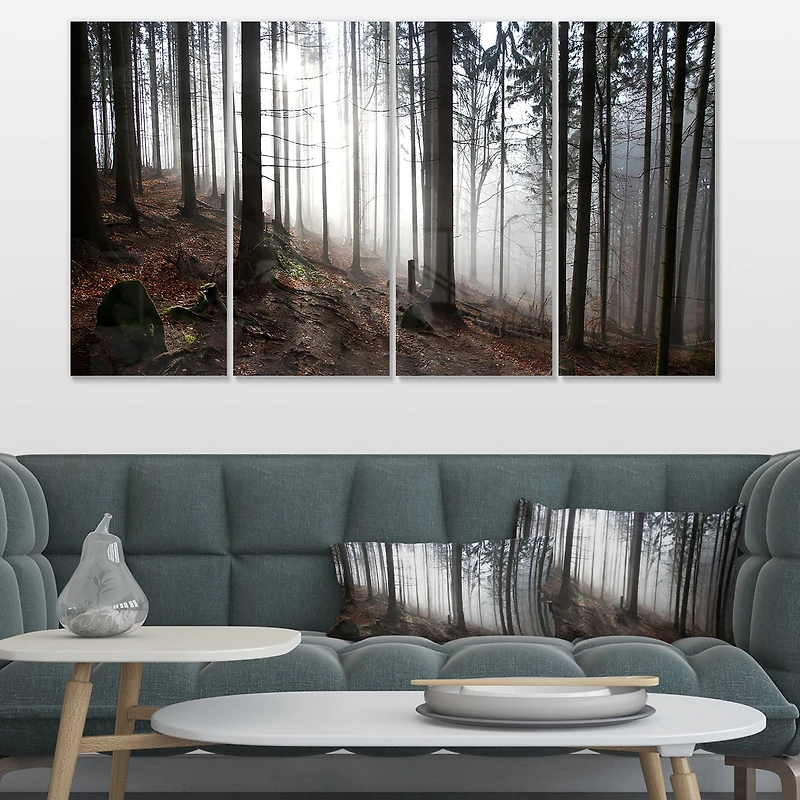 Misty Forest Morning Panorama  Canvas Wall Art