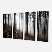 Misty Forest Morning Panorama  Canvas Wall Art